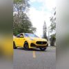 Maserati Amarillito Pollito, Nuevecito Nuevecito …